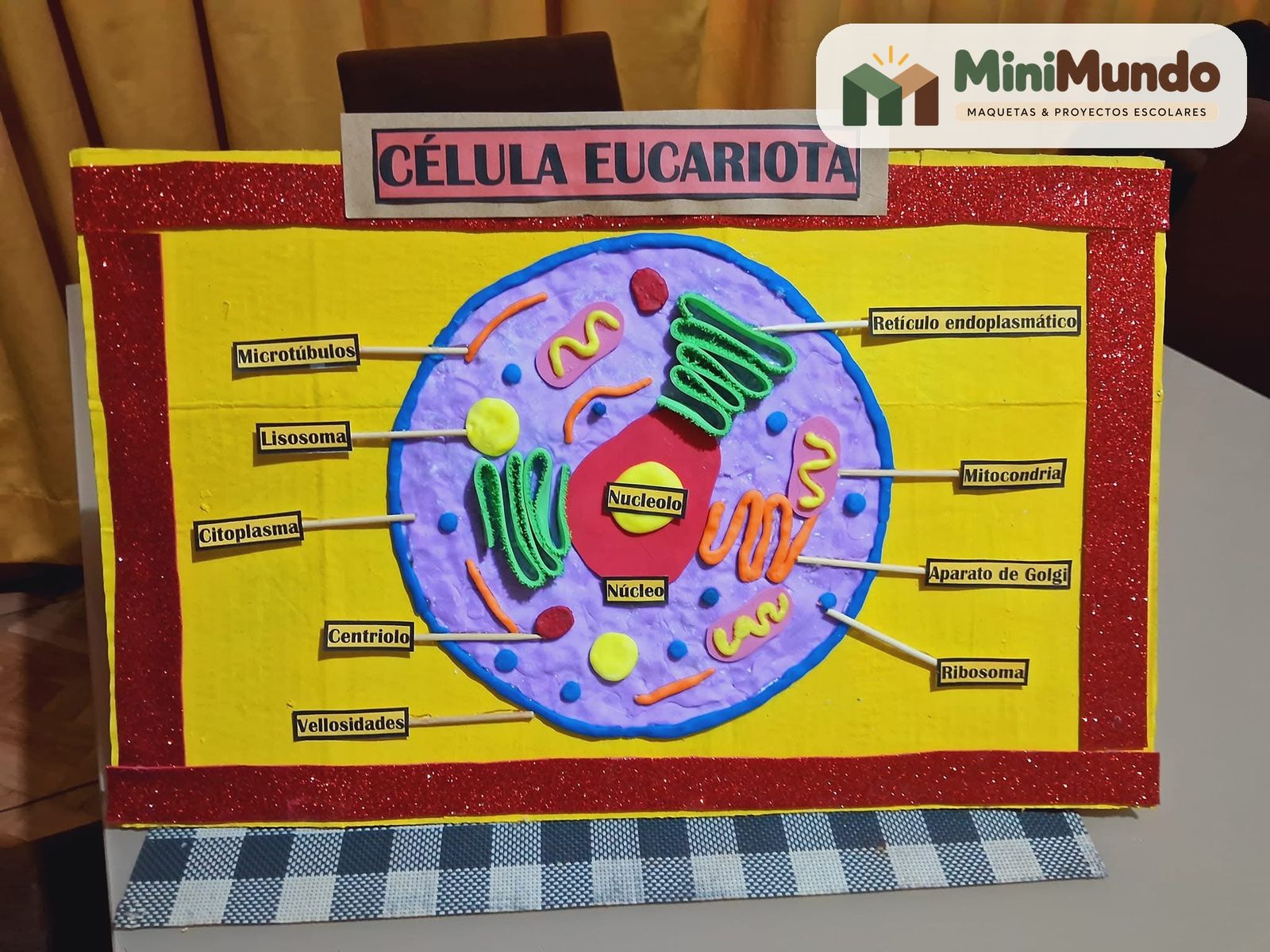 Maqueta: Célula eucariota. Núcleo, mitocondrias, retículo endoplasmático y demás organelos.