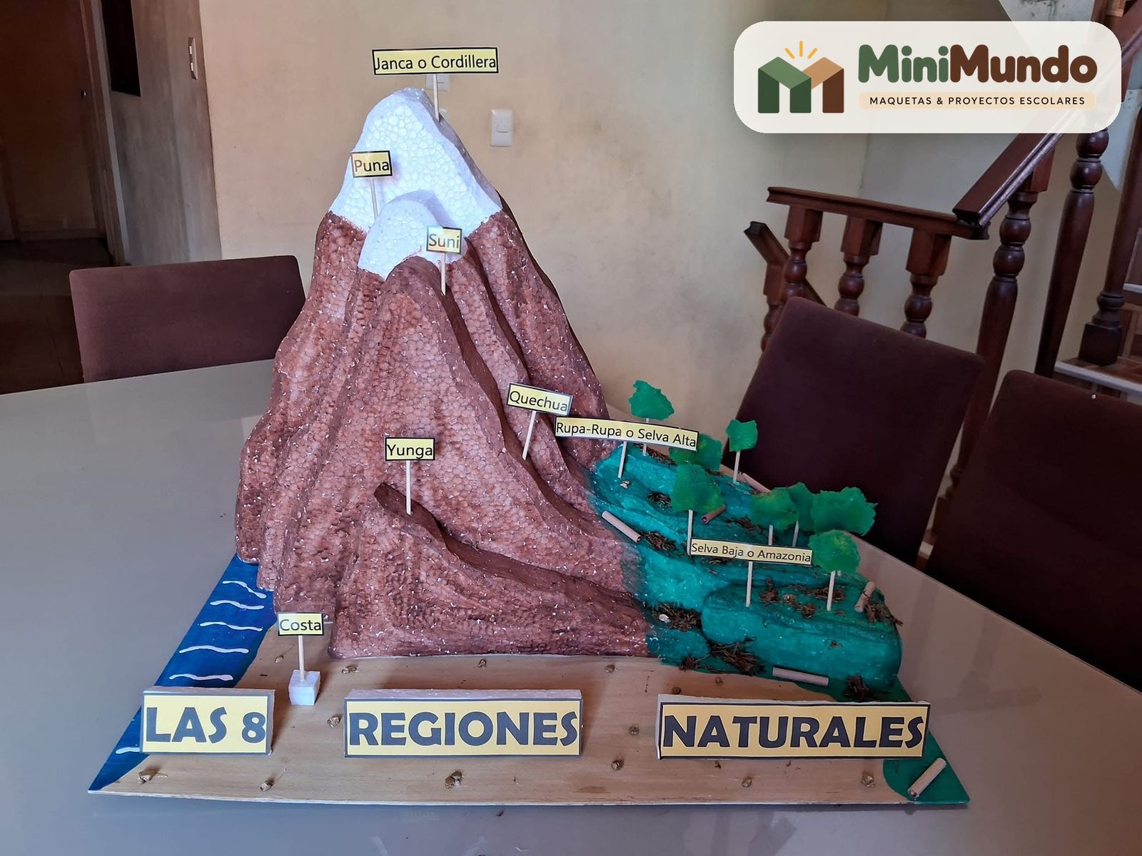 Maqueta: Las 8 regiones naturales. Costa, yunga, quechua, suni, puna, janca, rupa rupa y omagua.